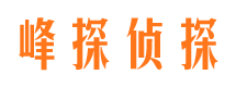 措勤峰探私家侦探公司